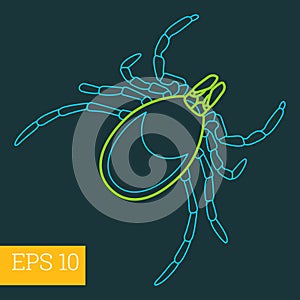 Mite insect outline