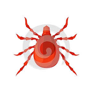 Mite insect vector illustration on a white background