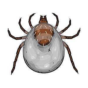 Mite parasites. Tick parasite. Acarus. Acarid vector illustration isolated on white background. photo