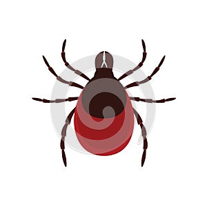 Mite parasites. Tick parasite. Acarus. Vector illustration photo