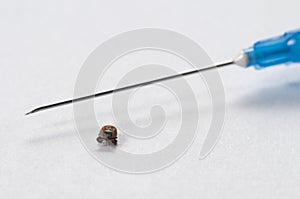 Mite and syringe tool