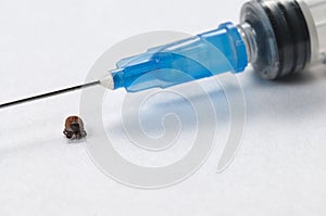 Mite and syringe tool