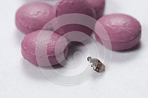 Mite and tablets