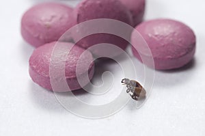 Mite and tablets
