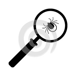 Mite, Tick Bug Under Magnifying Glass. Mite Testing, Research