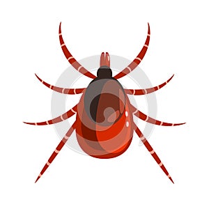 Mite or tick dangerous parasite. Colorful cartoon character