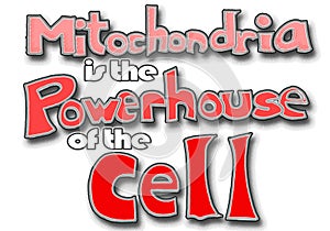 Mitochondria is the power house of the cell