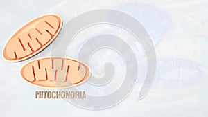 The Mitochondria for sci or health concept 3d rendering