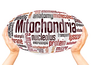Mitochondria word cloud hand sphere concept photo