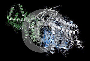 Mitochondrial complex II (succinate dehydrogenase, avian) Enzyme. Participates in citric acid cycle and electron transport chain. photo