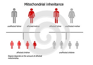 Mitochondrial diseases inheritance