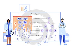 Mitosis process concept