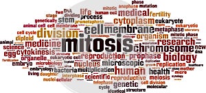 Mitosis word cloud