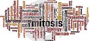 Mitosis word cloud