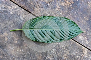 Mitragyna speciosa leaves  on the wood background, top view