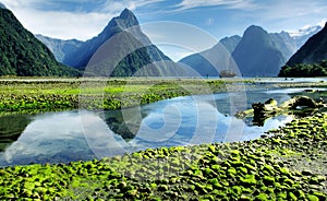 Mitre Peak, Milford Sound photo