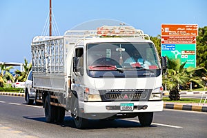 Mitsubishi Fuso Canter