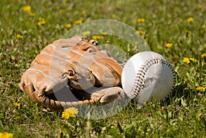 Mitt and Softball