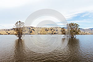 Mitta Valley Lookout in Australia