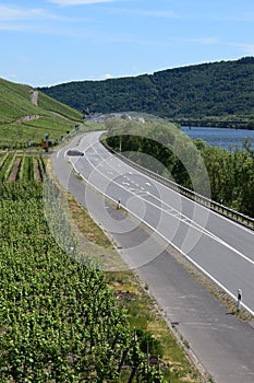 almost empty road along the Mosel near LÃÂ¶snich