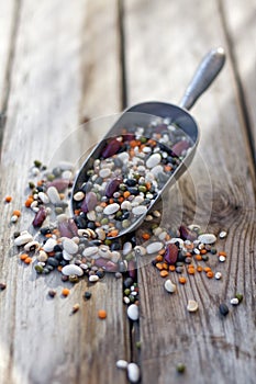 Mix of beans and lentil