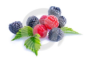 Mix berries with leaf. Various fresh berries isolated on white background. Raspberry, Blackberry.