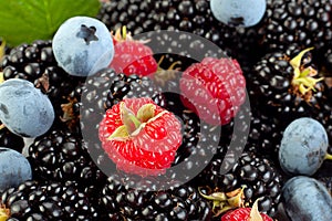 Mix berry with leaf