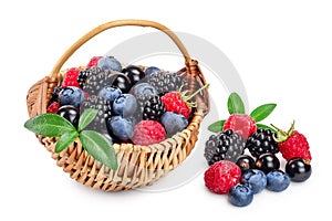 Mix of blackberry blueberry raspberry black currant with leaf in wicker basket isolated on white background.
