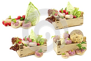 Mix of cabbage, lettuce and turnips in a wooden crate