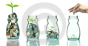 Mix coins and seed in clear blottle on white background,Business investment growth concept