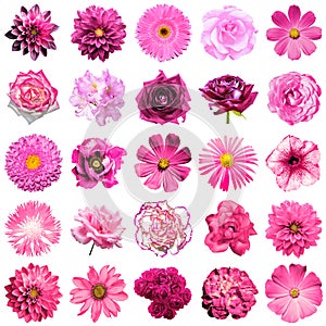 Mix collage of natural and surreal pink flowers 25 in 1