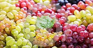 mix of colorful grape as background