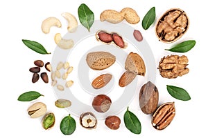 Mix of different nuts with leaves isolated on white background, Flat lay pattern, Top view
