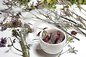 Mix of dry flowers for ikebana