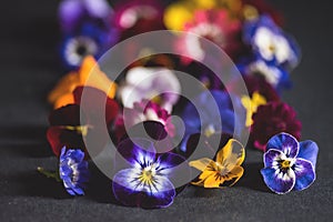 Mix of edible flowers photo