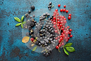 Mix of fresh berries with leaves on textured metal background