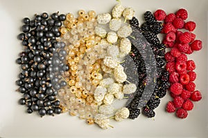 Mix of fresh berries in on plate on wooden background. Antioxidants, detox diet, organic fruits. photo