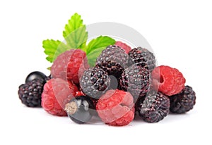 Mix of fresh berry