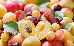 Mix of fresh fruits with leaves as background