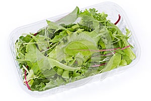 Mix of fresh greens in plastic container on white background