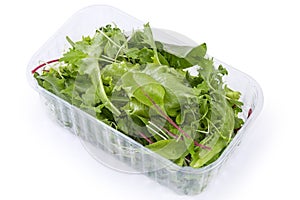 Mix of fresh greens in plastic container on white background