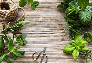 Mix of fresh herbs from garden