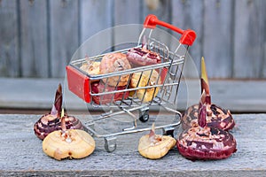 Mix gladioli bulbs in shopping cart, close-up