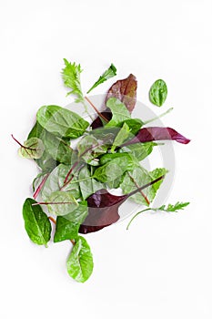 Mix of Green fresh salad leaves on white background. Isolated background