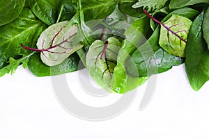 Mix of Green fresh salad leaves on white background. Isolated background