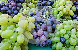 Mix of green-yellow and black grapes for sale at city farmers market of Zagreb