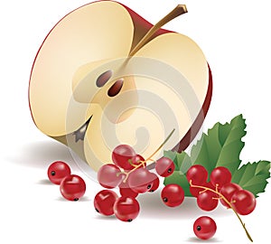 Mix, group, vegan, harvest, vitamin c, isolate, leaves, realistic, fruits, health, red currant, clipart, berries, agriculture, hea