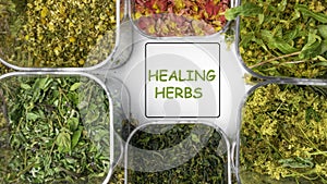 mix of healing herbs, herbal medicine