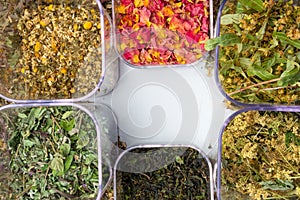 mix of healing herbs, herbal medicine