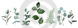 Mix of herbs and plants vector big collection